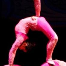 Brooklyn Center for the Performing Arts to Welcome The Golden Dragon Acrobats, 3/13