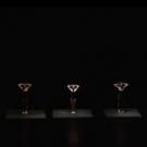 Visceral Dance Chicago Presents Premieres by Nick Pupillo and Fernando Melo Tonight