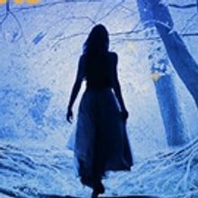 Shakespeare & Company Sets Casting for Summer 2017 Season of the Bard and More