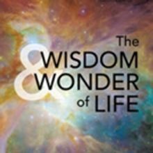 THE WISDOM AND WONDER OF LIFE is Released