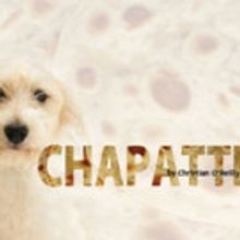 Square One Theatre Final Two Productions of 2016-17 Season