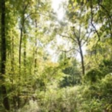 Matthew Jensen's PARK WONDER Photography Book Available from Visual Arts Center of Ne