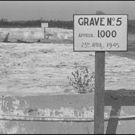 GERMAN CONCENTRATION CAMPS FACTUAL SURVEY Documentary to Debut in NYC
