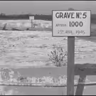 GERMAN CONCENTRATION CAMPS FACTUAL SURVEY Documentary to Debut in NYC