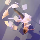 Cirkopolis Coming to Toronto in 2017