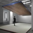 Galerie Lelong Extends Cildo Meireles Exhibition Through July 24