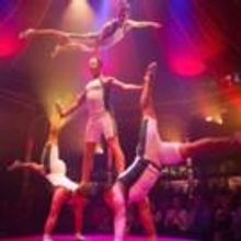 ABSINTHE to Receive Sydney Premiere at St Mary's Cathedral Square