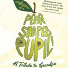 Andrew Mondia to Debut CONFESSIONS OF A PEAR-SHAPED PUPIL at Orlando Fringe