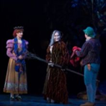Photo Flash: First Look at Emily Skinner, Nick Bailey, Jeremy Hays and More in INTO…