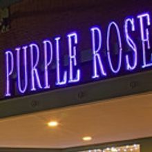 The Purple Rose Theatre Names David Ligotti  to Board of Directors
