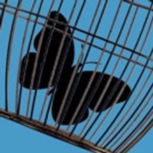 New Play BLACK BUTTERFLIES to Examine Life of Tennessee Williams' Sister in Off-Broad