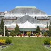 Midsommer Flight Presents MACBETH and TWELFTH NIGHT