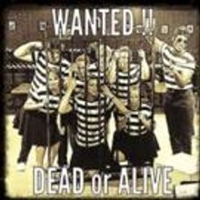 BWW Reviews: ALL SHOOK UP at Chaffin's Barn