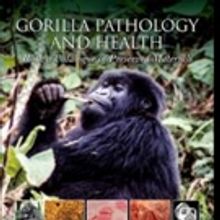 'Gorilla Pathology and Health: With a Catalogue of Preserved Materials' is Released