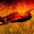 Oxford Theatre Guild to Stage Gripping Classic ALL MY SONS