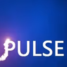 THE PULSE PROJECT to Benefit Gays Against Guns at Assembly Hall
