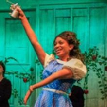 BWW Review: Creative Cauldron Soars Down Yellow Brick Road for Magical WIZARD OF OZ i
