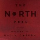 Rajiv Joseph's Tense, Timely Drama THE NORTH POOL Comes to Redwood City