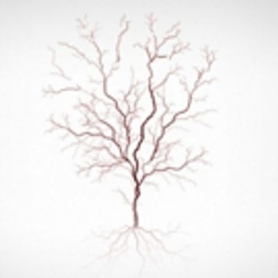 Cast Announced For TORN And FATHER COMES HOME FROM THE WARS (PARTS 1, 2 & 3) At The Royal Court