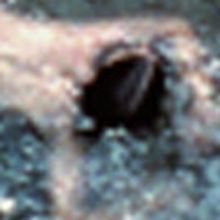 The University of California, Berkeley Art Museum and Pacific Film Archive Presents C