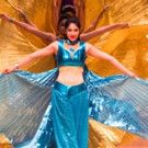 South Asian Showdown 2017 at John Hancock Hall