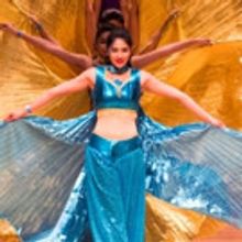 South Asian Showdown 2017 at John Hancock Hall