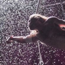 Guest Blog: Firenza Guidi On NoFit State Circus's BIANCO