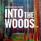 Pantochino Teen Theatre Journeys INTO THE WOODS in Connecticut