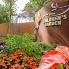 Children's Garden Reblooms at Atlanta Botanical Garden