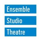 Ensemble Studio Theatre to Undergo First Major Renovation in Nearly 50 Years