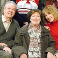 BWW Review: Rainbow Delights Audiences with Revived GOOD NIGHT MRS. PUFFIN Photo