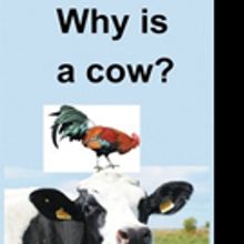 Allen Brown Pens WHY IS A COW?
