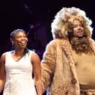 Photo Flash: Phylicia Rashad, Andre De Shields & More Original Cast Members from THE…