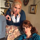 The Phoenix Theatre to Present FEMALE OF THE SPECIES