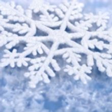 BWW Blog: Leanne Laurino - The Fairy Diaries: Snow Day Edition