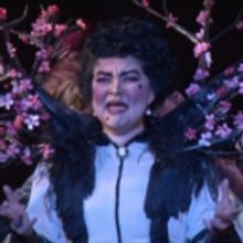 STAGE TUBE: NYGASP Puts a Twist on THE MIKADO - Watch Highlights!