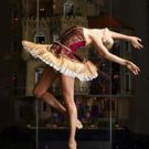 Kevin Richardson's DANCE AS ART Graces Astolat Dollhouse Castle This Week