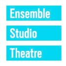 EST and Radio Drama Network to Present WHERE DID WE SIT ON THE BUS?