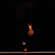 BWW Reviews: FLAMENCO VIVO Exhilarates at BAM