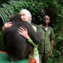 Richard Thomas Narrates THIRTEEN's Nature: Animal Reunions on PBS Tonight