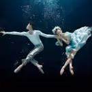 Photo Flash: First Look at the Cast of Miami City Ballet's A MIDSUMMER NIGHT'S DREAM
