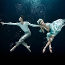 Photo Flash: First Look at the Cast of Miami City Ballet's A MIDSUMMER NIGHT'S DREAM
