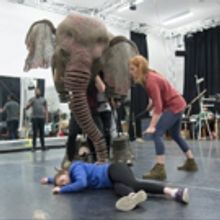 Photo Flash: First Look at Rehearsal Photos for the UK Tour of RUNNING WILD