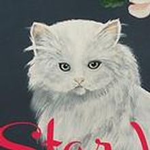 Wilco Offers Fans Free Download of New Album STAR WARS