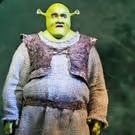 From the BroadwayWorld Vaults: Relive the Magic of SHREK!