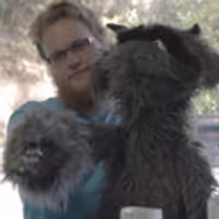 VIDEO: Ben Lee Unveils Video for 'The Body Of Love', Featuring L.A. Puppet Troupe Video