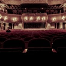 BWW Blog: Monica Furman - Senior Year, Week 2: The Importance of Performer Profession