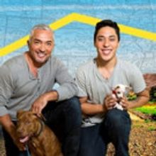 Nat Geo Wild to Premiere New Series CESAR MILLAN'S DOG NATION, Today