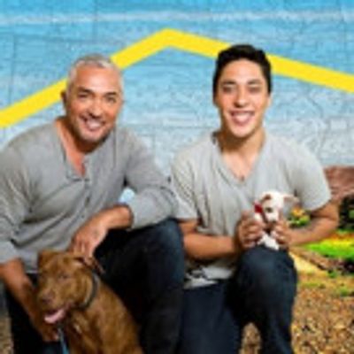 Nat Geo Wild to Premiere New Series CESAR MILLAN'S DOG NATION, 3/3