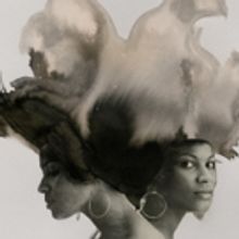 DPAC and the 2017 Art of Cool Festival to Welcome Common Next Spring